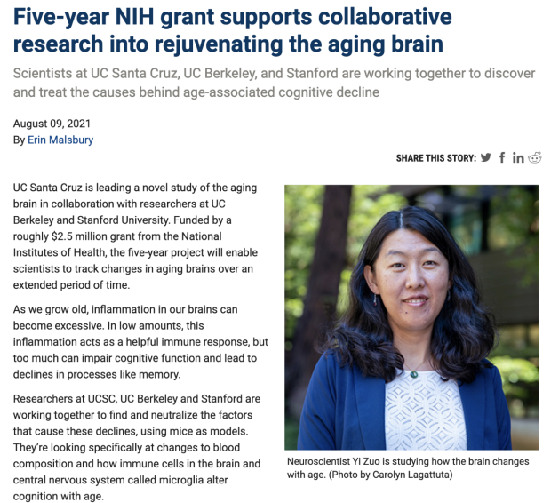Five-year NIH grant supports collaborative research into rejuvenating the aging brain
